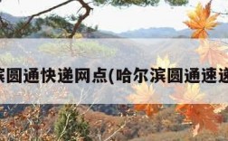 哈尔滨圆通快递网点(哈尔滨圆通速递电话)