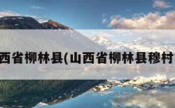 山西省柳林县(山西省柳林县穆村镇)