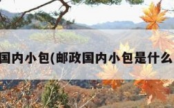 邮政国内小包(邮政国内小包是什么意思)