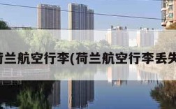 荷兰航空行李(荷兰航空行李丢失)
