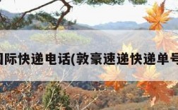 敦豪国际快递电话(敦豪速递快递单号查询)
