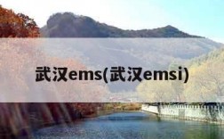 武汉ems(武汉emsi)
