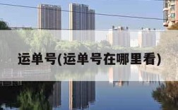 运单号(运单号在哪里看)