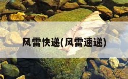风雷快递(风雷速递)