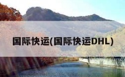 国际快运(国际快运DHL)