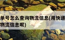 用快递单号怎么查询物流信息(用快递单号怎么查询物流信息呢)