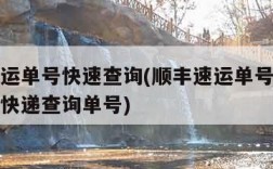 顺丰速运单号快速查询(顺丰速运单号快速查询圆通快递查询单号)