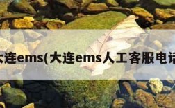 大连ems(大连ems人工客服电话)