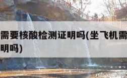 坐飞机需要核酸检测证明吗(坐飞机需要核算检测证明吗)