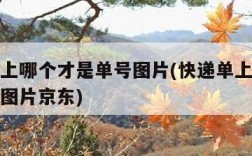 快递单上哪个才是单号图片(快递单上哪个才是单号图片京东)