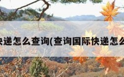 国际快递怎么查询(查询国际快递怎么查询)