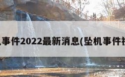 坠机事件2022最新消息(坠机事件视频)