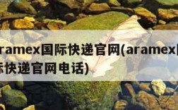 aramex国际快递官网(aramex国际快递官网电话)