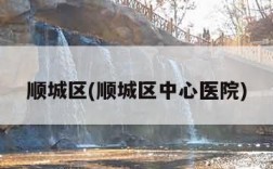 顺城区(顺城区中心医院)