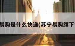 苏宁易购是什么快递(苏宁易购旗下快递)