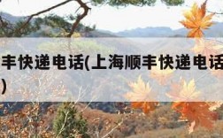 上海顺丰快递电话(上海顺丰快递电话号码上门取件)