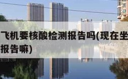 现在坐飞机要核酸检测报告吗(现在坐飞机要做核酸报告嘛)