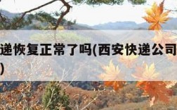 西安快递恢复正常了吗(西安快递公司什么时候停运)