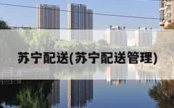 苏宁配送(苏宁配送管理)