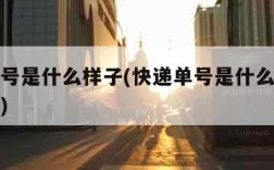 快递单号是什么样子(快递单号是什么样子图片邮政)