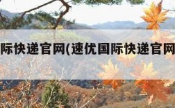 速优国际快递官网(速优国际快递官网查询单号)