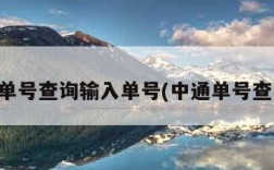 中通单号查询输入单号(中通单号查一下)