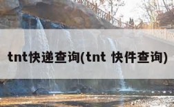 tnt快递查询(tnt 快件查询)