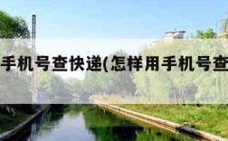 怎样用手机号查快递(怎样用手机号查快递取件码)