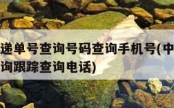 中通快递单号查询号码查询手机号(中通快递单号查询跟踪查询电话)