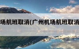 广州机场航班取消(广州机场航班取消最新消息)