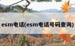 esm电话(esm电话号码查询)