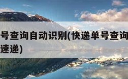 快递单号查询自动识别(快递单号查询自动识别极兔速递)