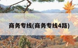 商务专线(商务专线4路)