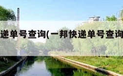 一邦快递单号查询(一邦快递单号查询物流信息)