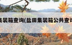 盐田集装箱查询(盐田集装箱公共查询vgm)