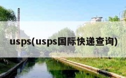 usps(usps国际快递查询)