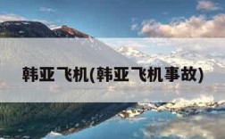 韩亚飞机(韩亚飞机事故)