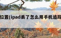 追踪位置(ipad丢了怎么用手机追踪位置)
