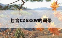 包含CZ688W的词条