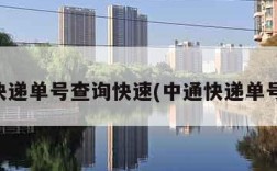 中通快递单号查询快速(中通快递单号查寻)