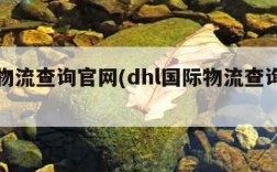 国际物流查询官网(dhl国际物流查询官网)
