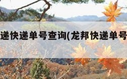 龙邦速递快递单号查询(龙邦快递单号查询单)