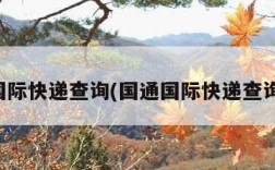 国通国际快递查询(国通国际快递查询电话)