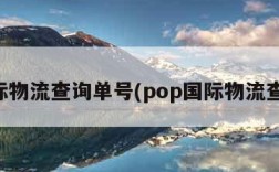 国际物流查询单号(pop国际物流查询)