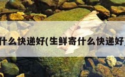 什么快递好(生鲜寄什么快递好)