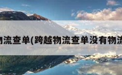 跨越物流查单(跨越物流查单没有物流信息)