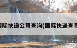 国际快递公司查询(国际快递查寻)