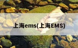 上海ems(上海EMS)