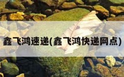 鑫飞鸿速递(鑫飞鸿快递网点)