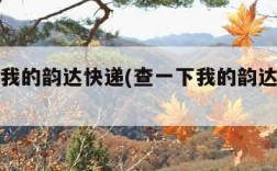查一下我的韵达快递(查一下我的韵达快递包裹)